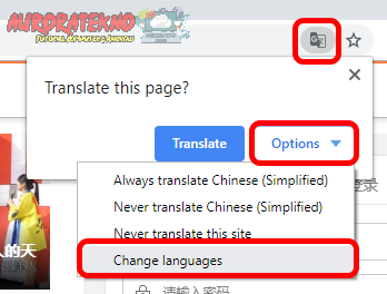 Change Languages