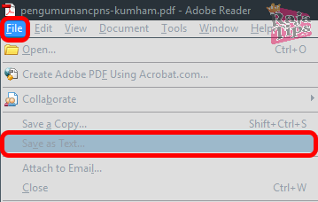 Ubah PDF Ke Word