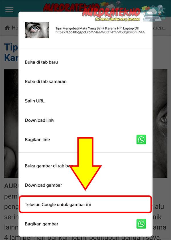 Mudah! 4 Cara Mencari Dengan Gambar Di Google (Android) - Raja Tips