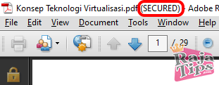 Secured PDF