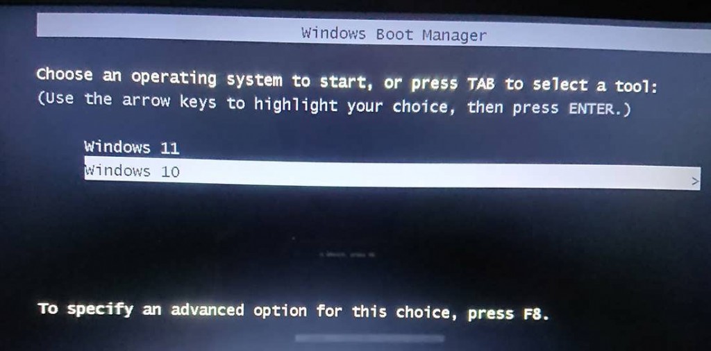 Choose Operating System At Start