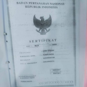 tanah11