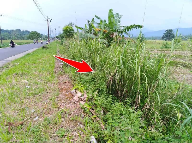 forum jual beli tanah purbalingga