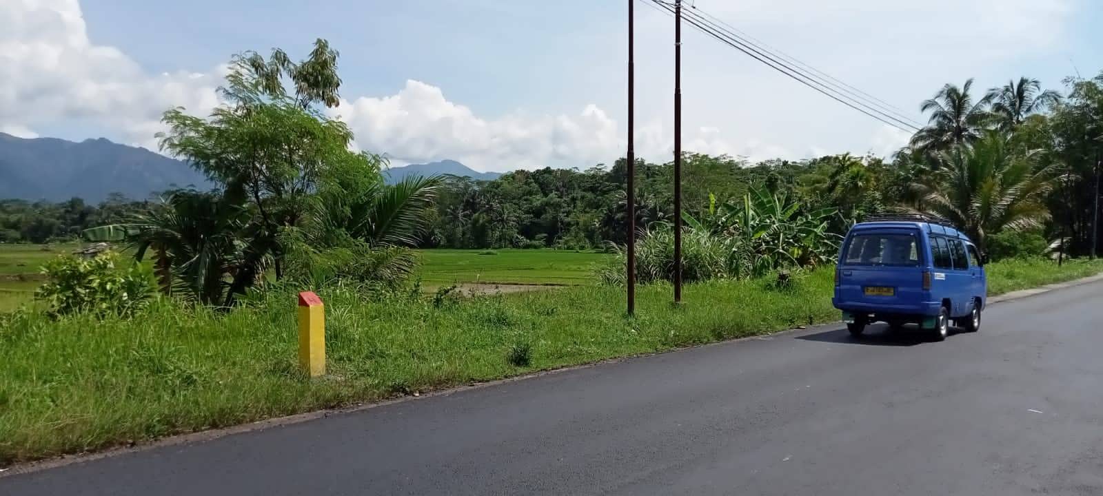 tanah7